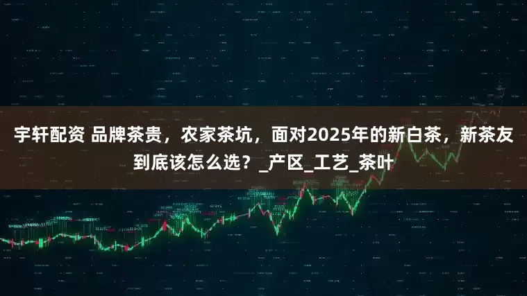 宇轩配资 品牌茶贵，农家茶坑，面对2025年的新白茶，新茶友到底该怎么选？_产区_工艺_茶叶