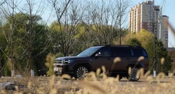 钱掌柜配资 动力炸裂空间大，30万SUV新王者，你敢试吗？